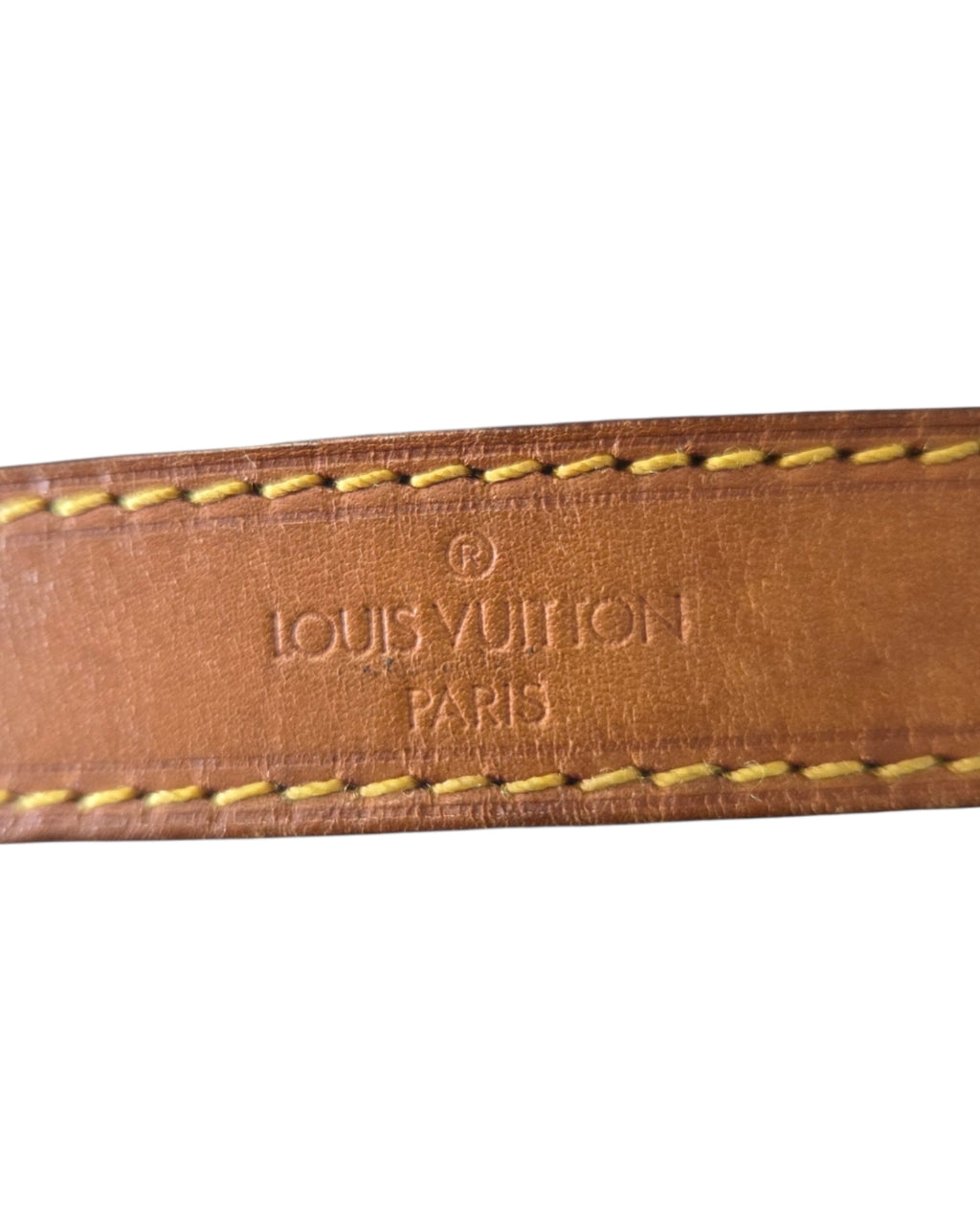 Louis Vuitton Sac Noé PM