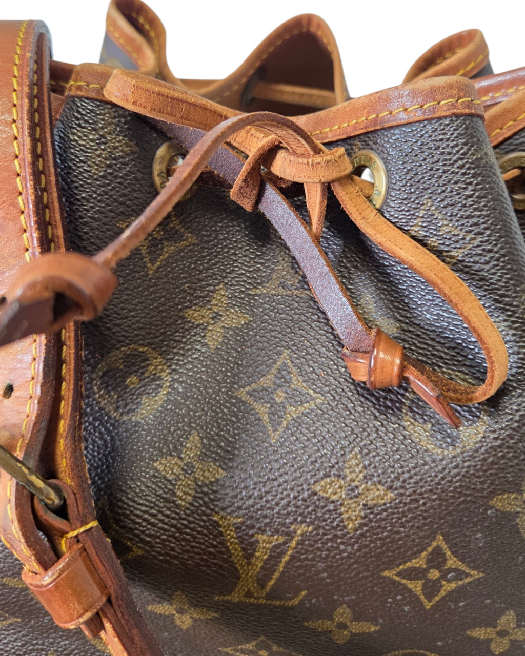 Louis Vuitton Sac Noé PM