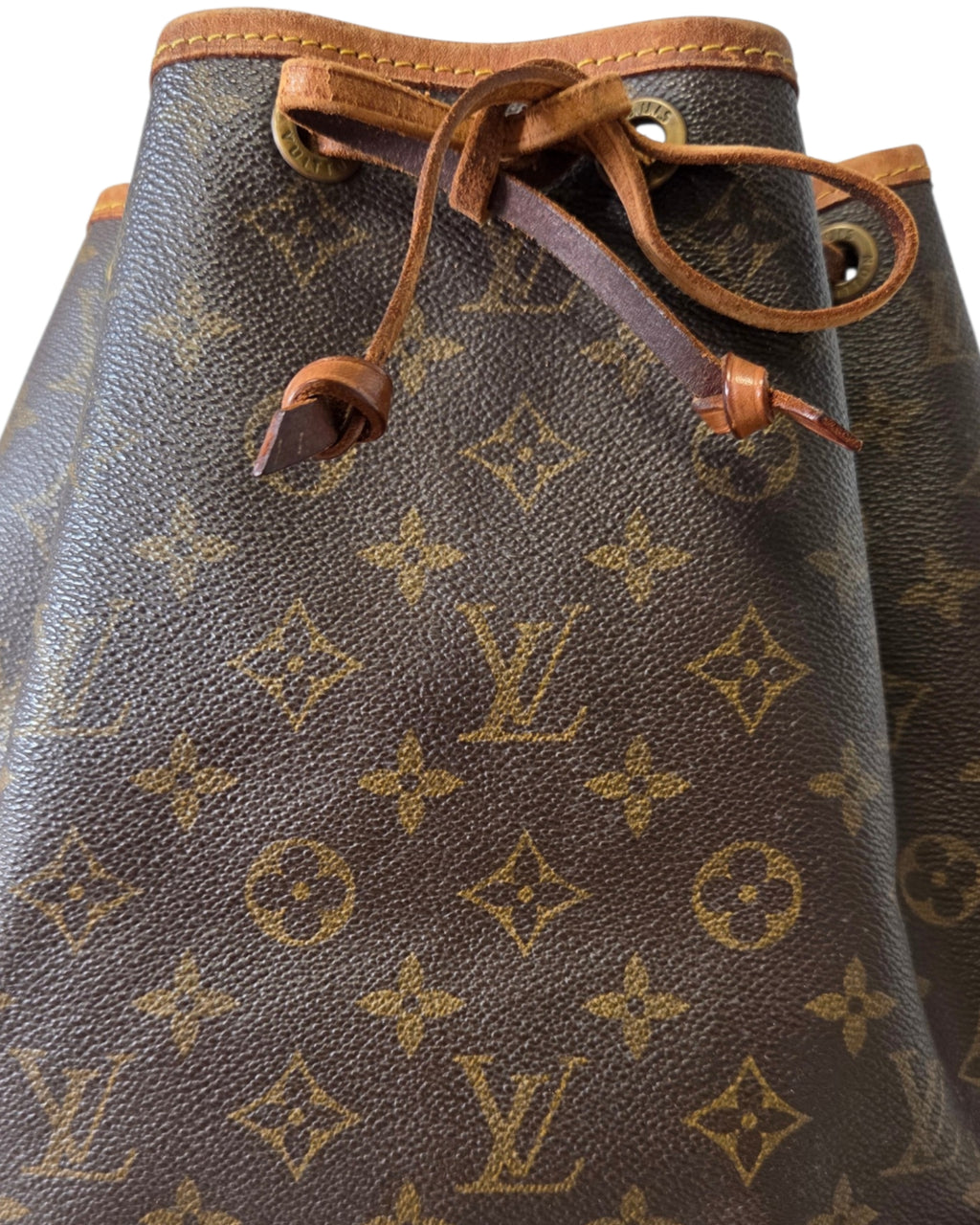 Louis Vuitton Sac Noé PM